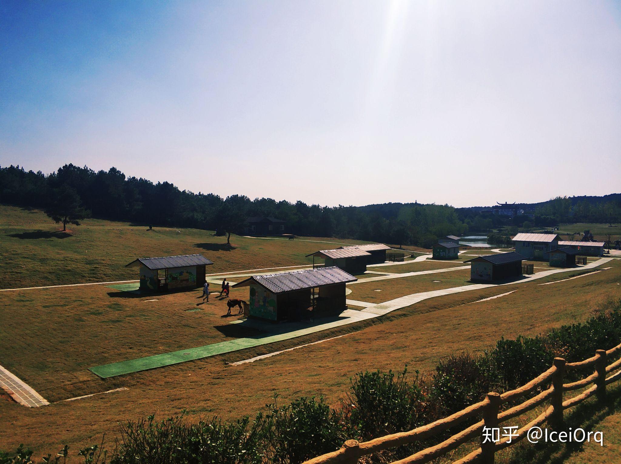 武汉周边地区有什么好玩的地方吗?