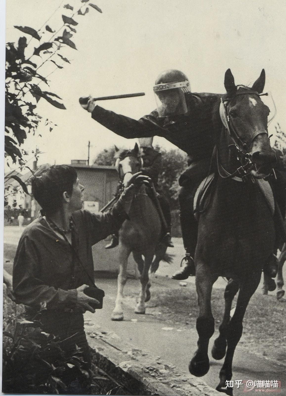 二战为什么还有骑兵