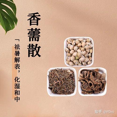 香薷散的功效和作用 知乎