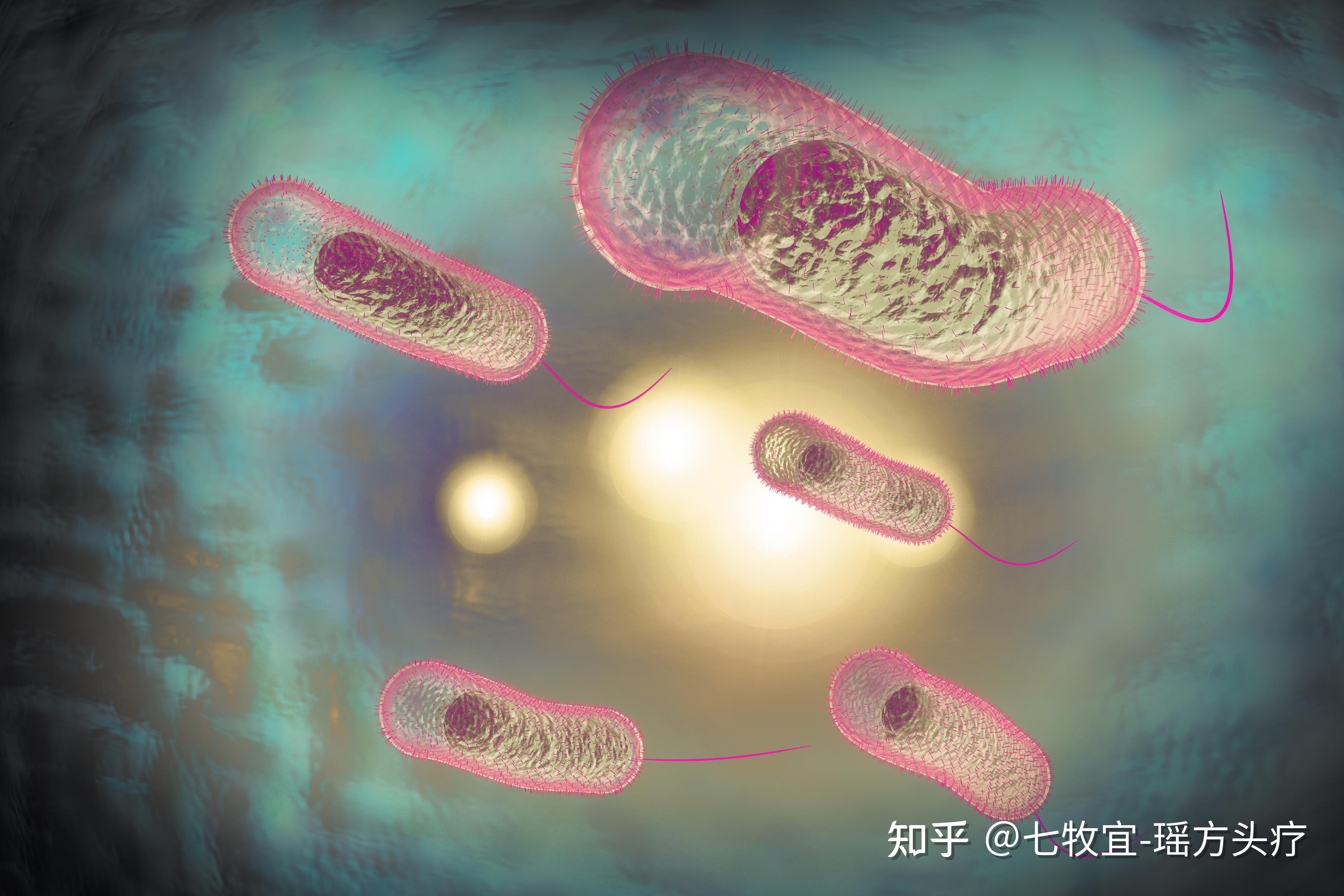 锐评:网传武汉大学出现霍乱病例;目前已检测还未出结果 - 知乎