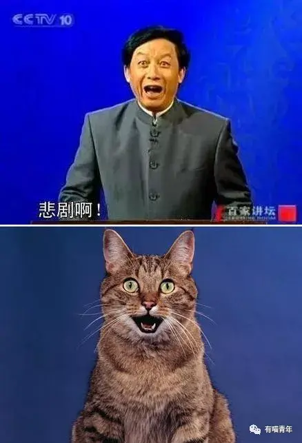 悲剧啊!想起那些《百家讲坛》的段子了!周杰伦▼啧啧啧,怀疑是p过的!