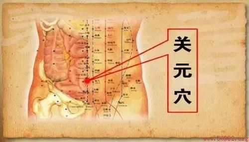关元穴经穴名。属任脉。足三阴、任脉之会 - 知乎