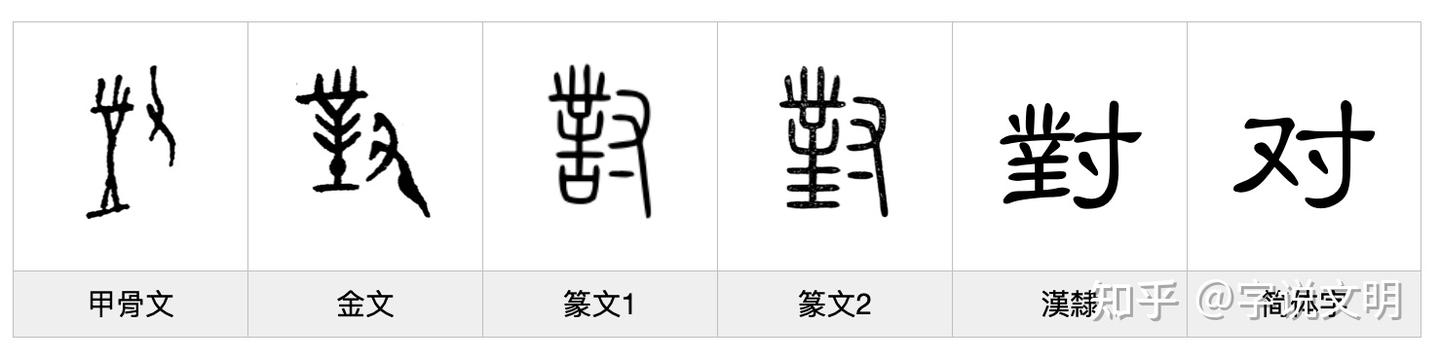 对——每日一字·寸部字 - 知乎