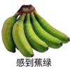 什么鬼