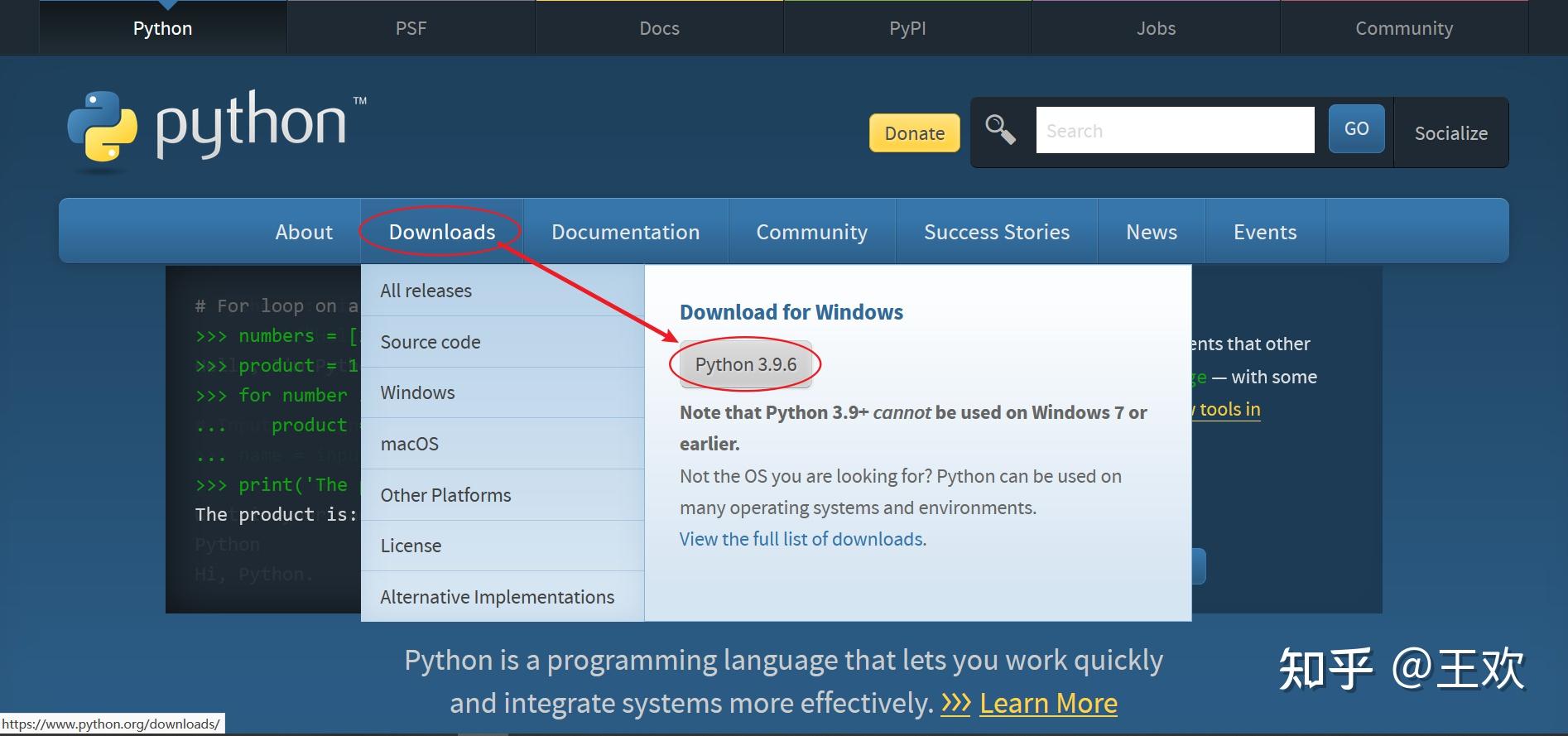 python-launcher-msi