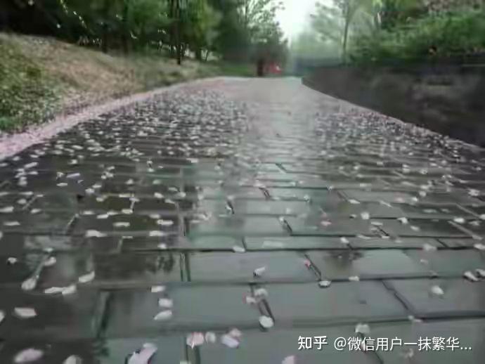 轻轻地走过,轻轻地走远 - 知乎