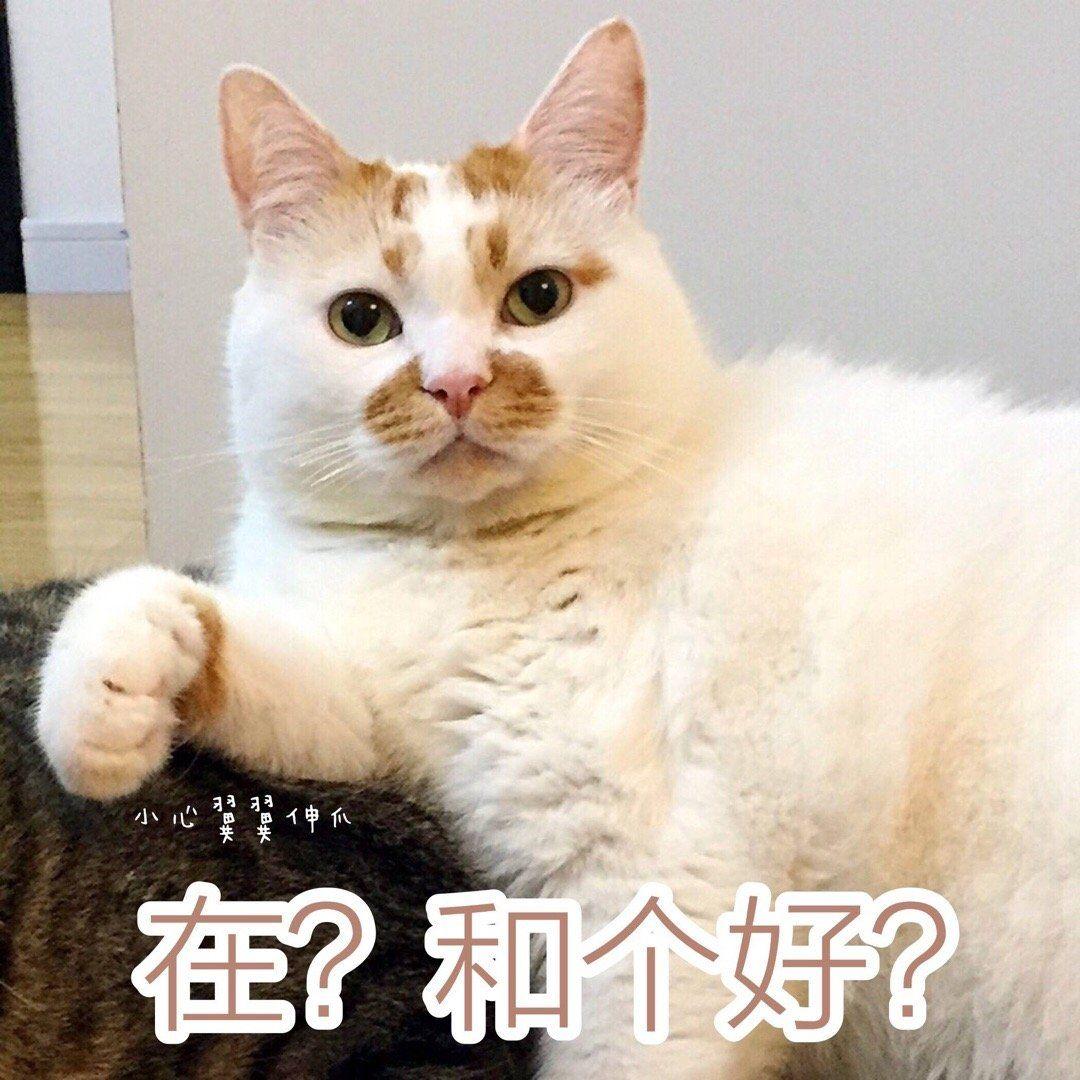 有没有这种哄女孩子开心的表情包?