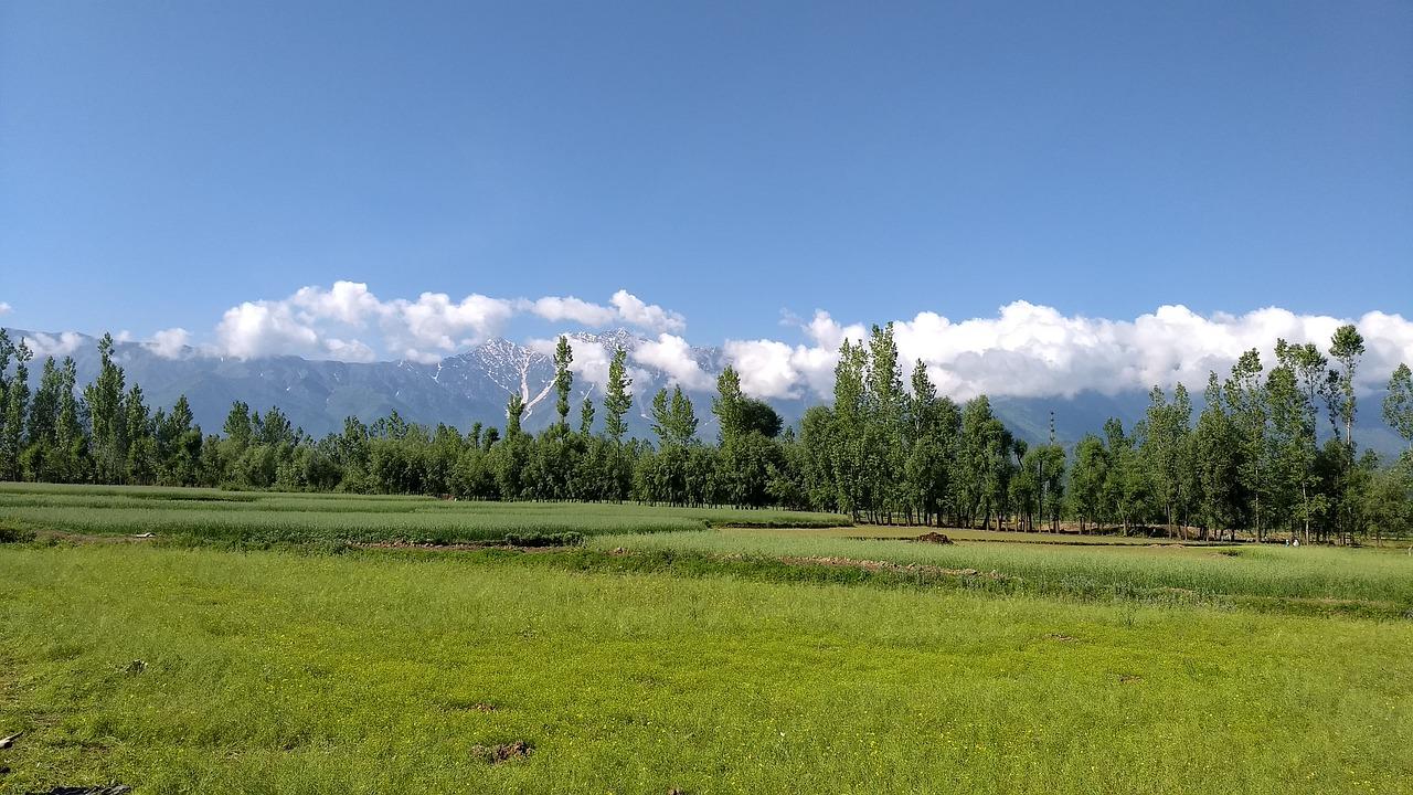 土地出让流程解析