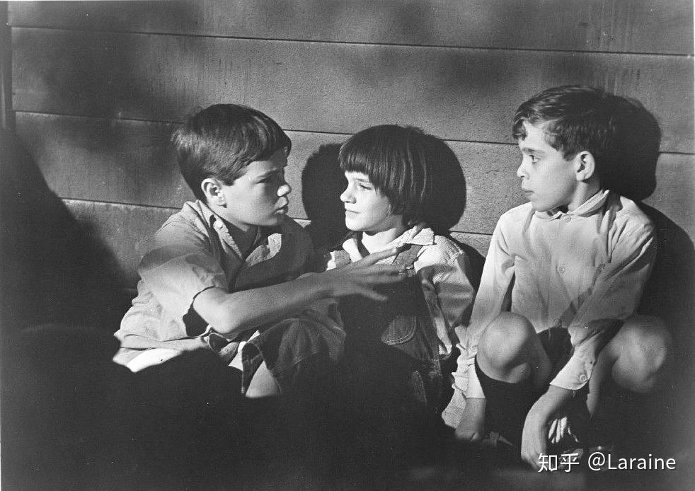 如何杀死一只知更鸟讲了什么 v2-02d6a83a6ec36d3967c8514d126ee09c_r.jpg