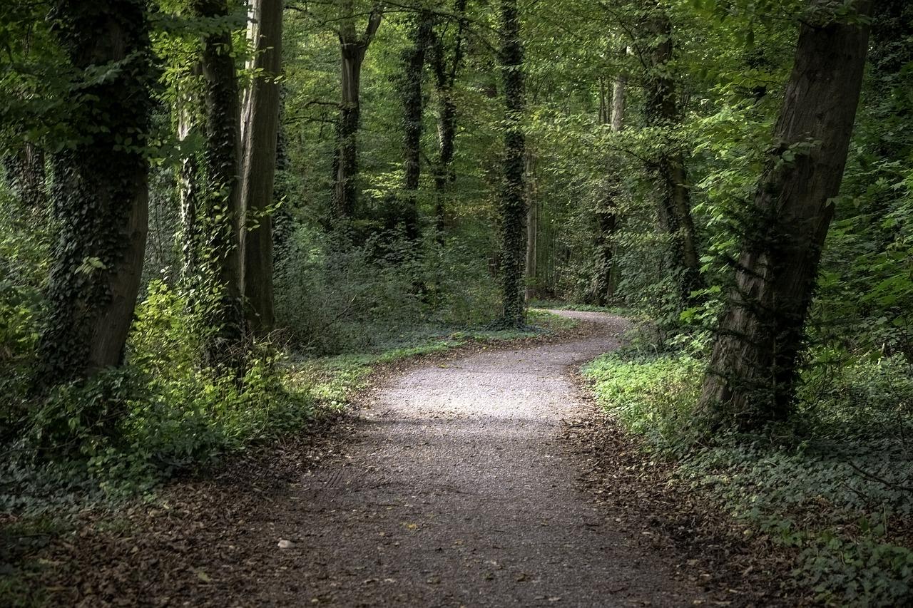 3. 服务业用地类型