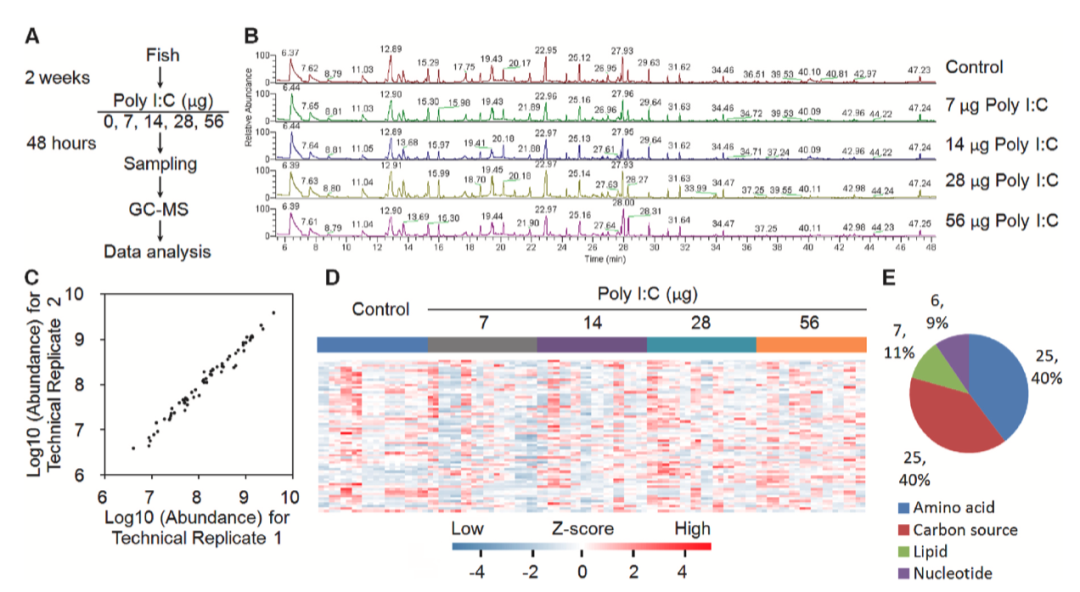 Fish and Shellfish Immunology丨TLR3激动剂通过增强三羧酸循环从而增强斑马鱼对细菌感染的抗性 知乎