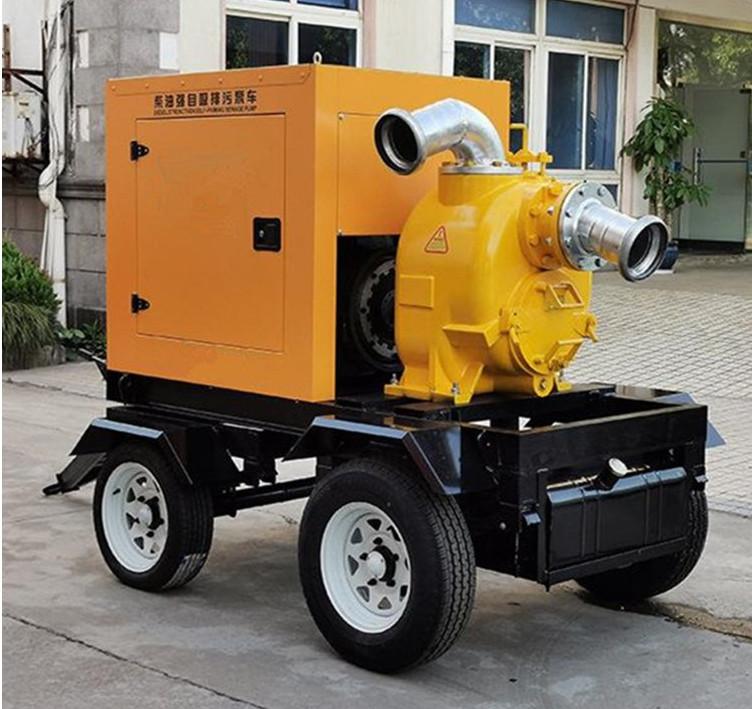 800方市政防洪柴油抽水泵