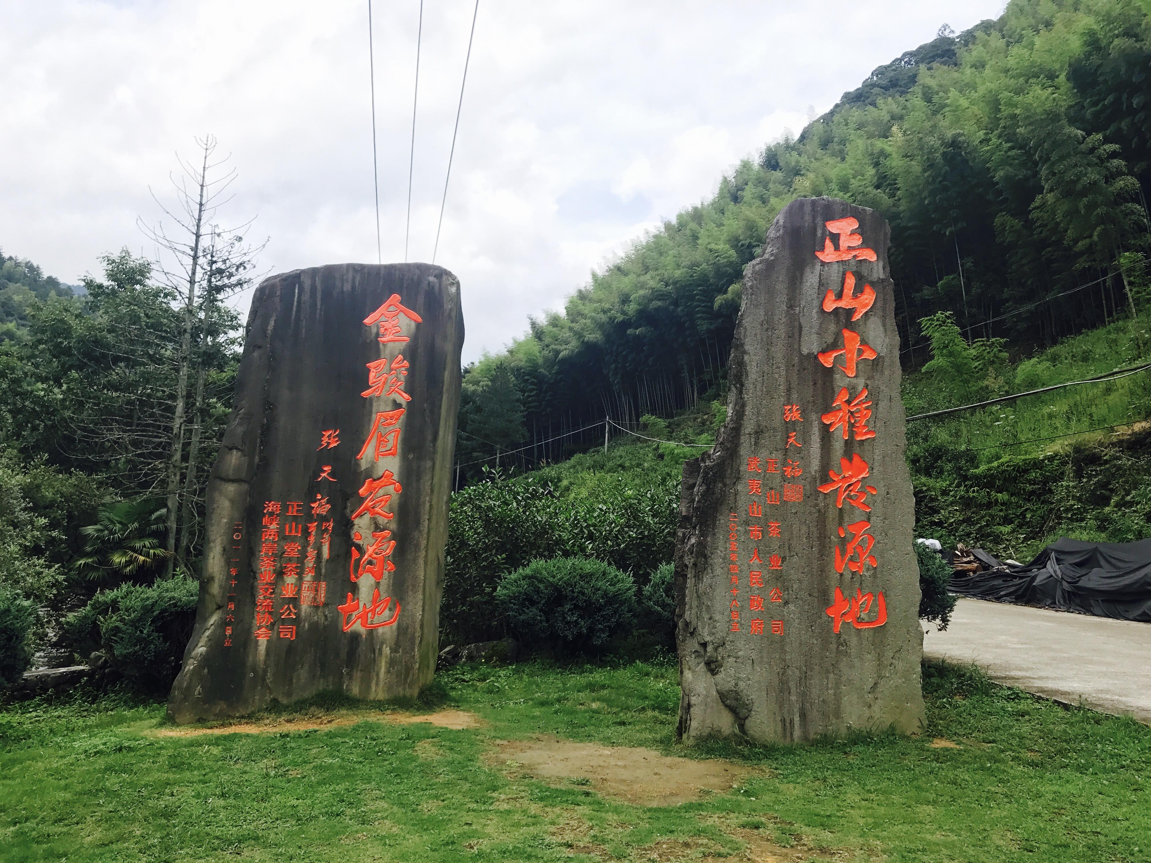 武夷岩茶市场上哪个牌子质量比较有保障?天福