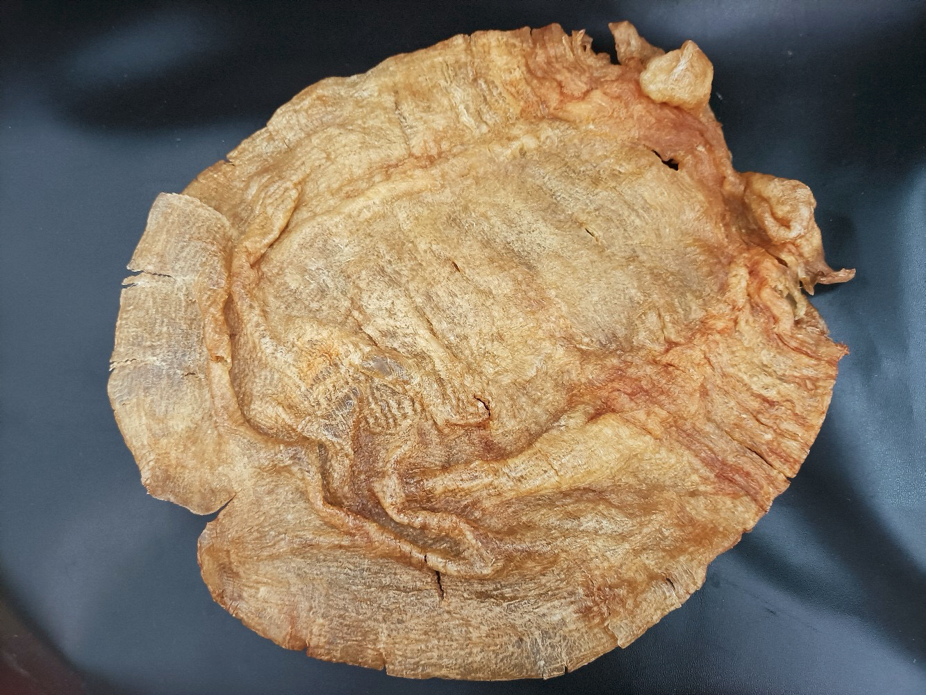 鱼胶品种科普房胶为什么那么贵一篇文章全面告诉你干货