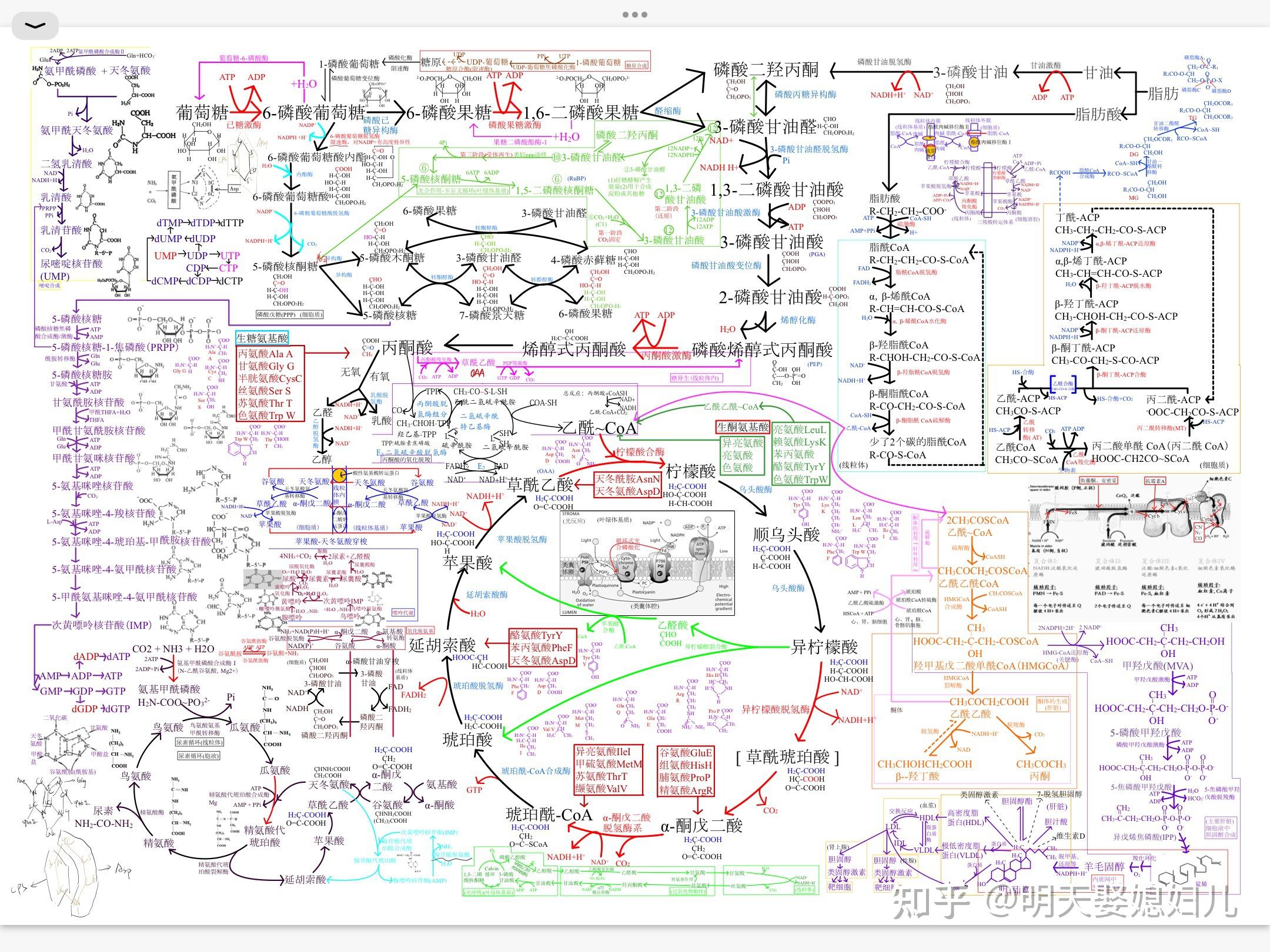 考研生物化学怎么复习？ - 知乎
