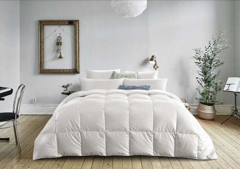 v2-0306a75f4f2adb88540eb3498484a49c_1440w.jpg?source=172ae18b