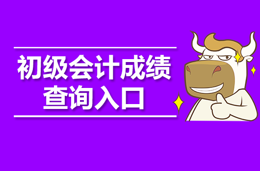 会计查询考试成绩怎么查_会计查成绩入口_会计考试成绩查询