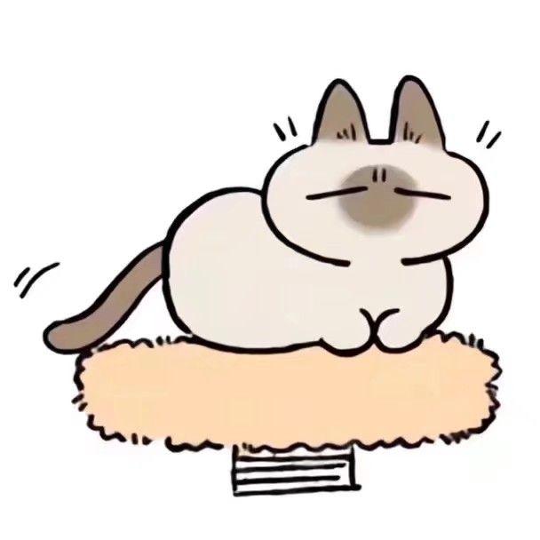 你们有这个暹罗猫的表情包么? - 知乎