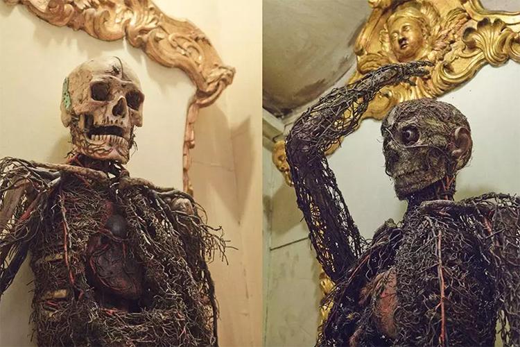 在这里你依然可以看到人体解剖标本