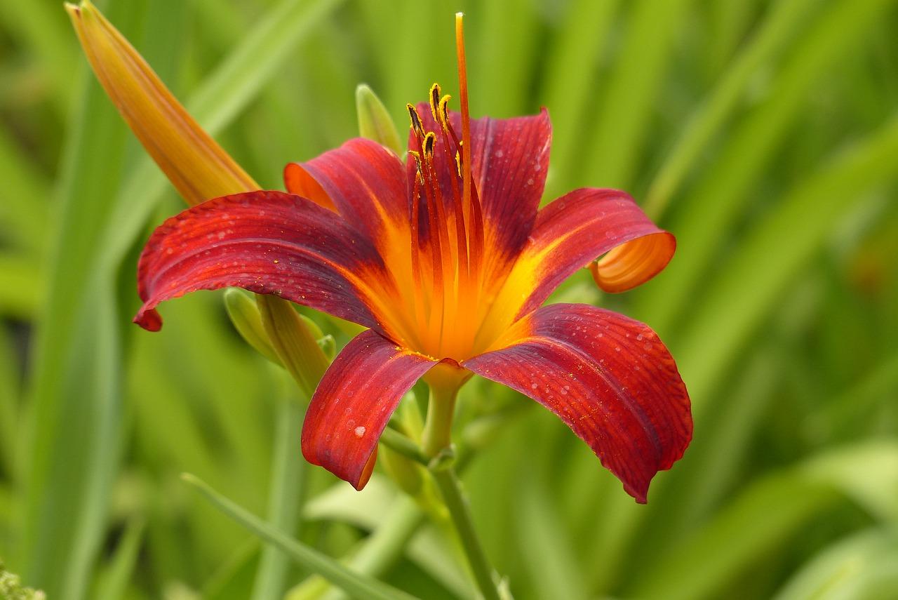 佳源花都属于什么管