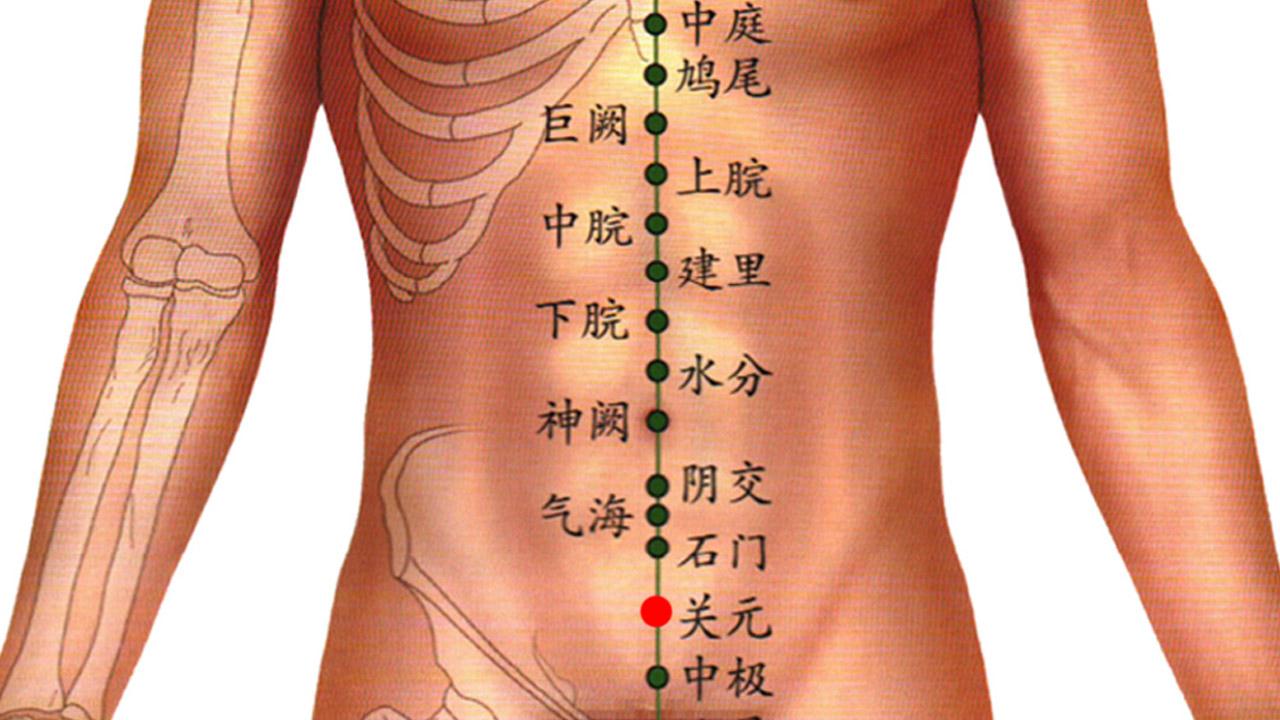 健康哥教你怎么体质养生?让你拥有平和体质 - 知乎