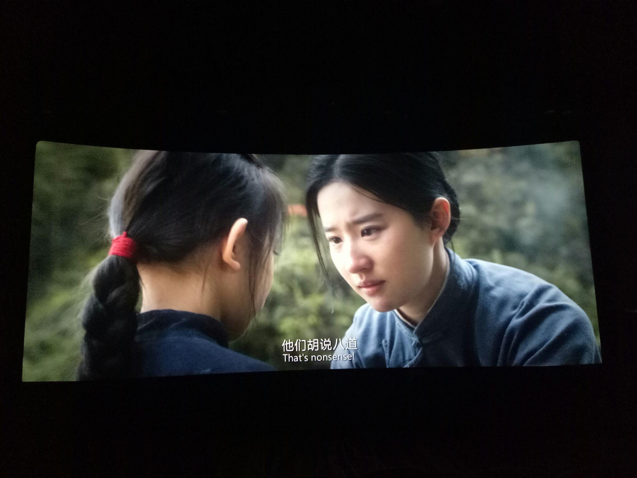 如何评价电影烽火芳菲