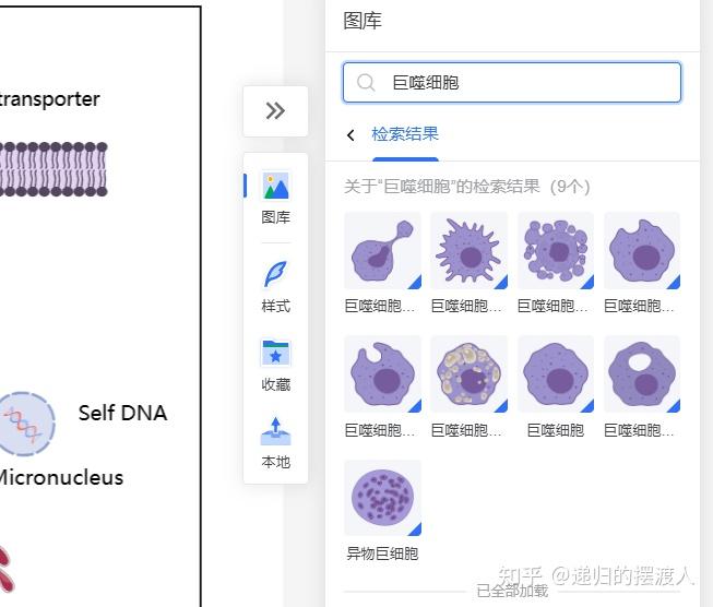 科研绘图指南,如何画出论文中好看的信号通路图和机制图 - 知乎