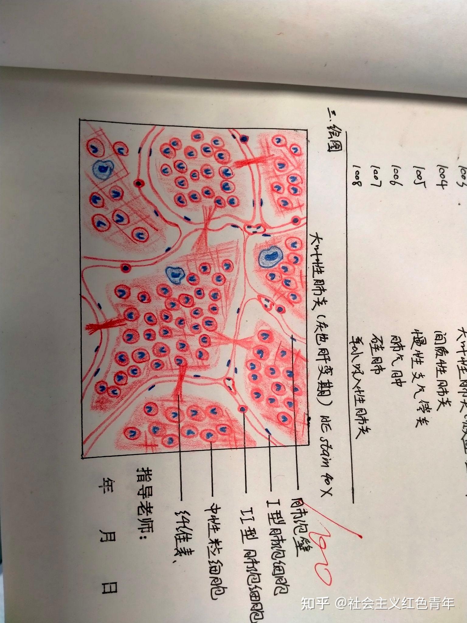 药理学绘图大赛图片