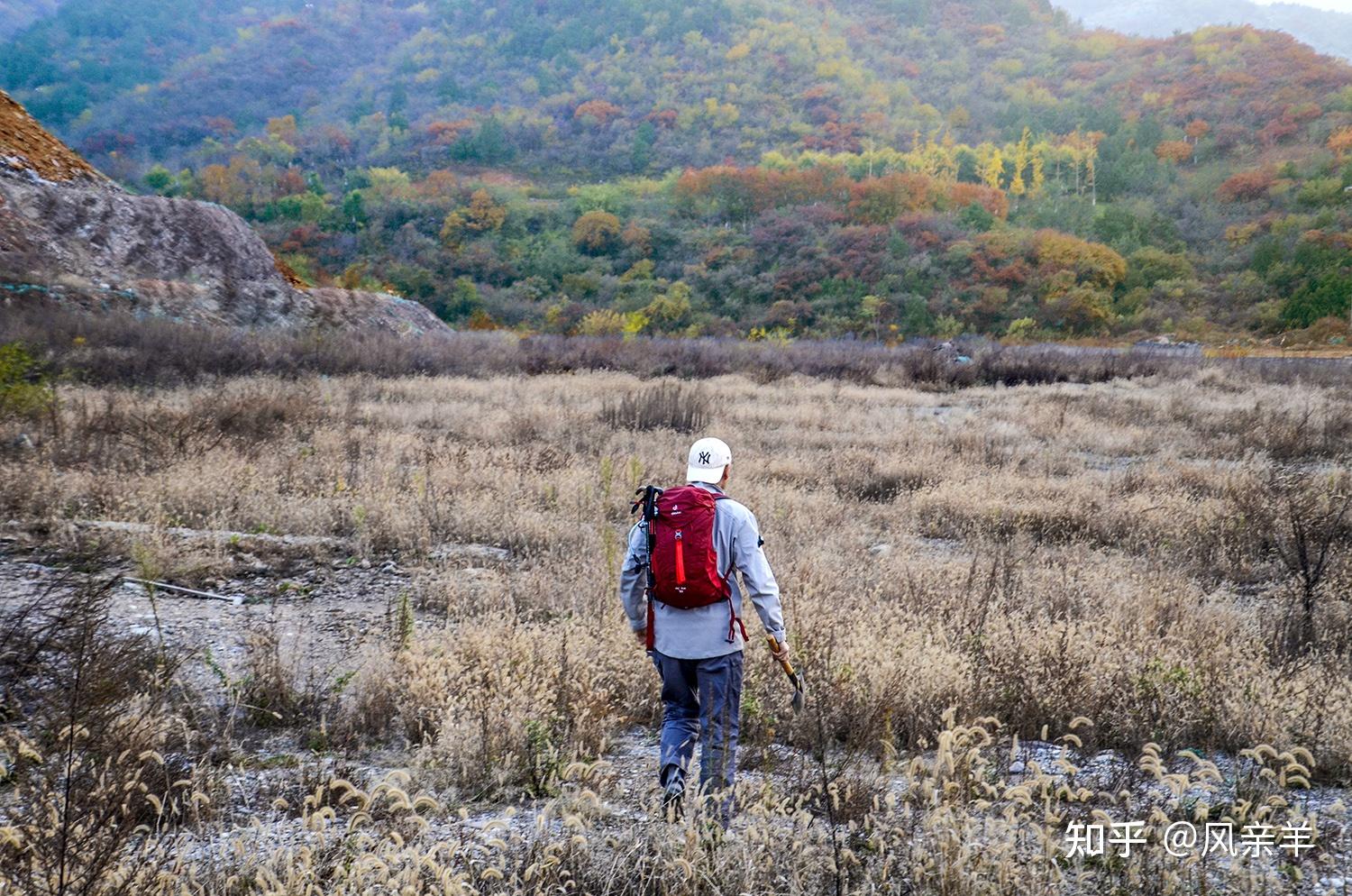 背起行囊走入深秋多特螢火蟲18升雙肩揹包