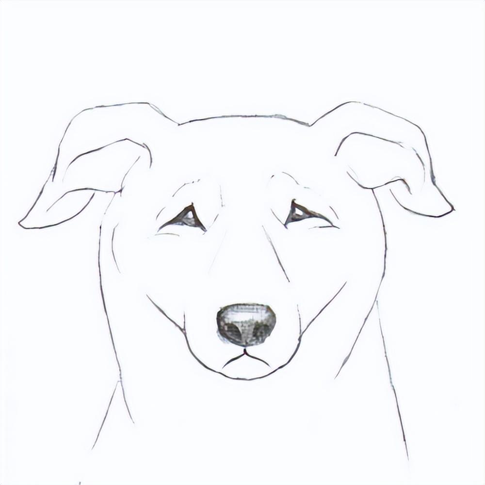 狗的简笔画法表情包图片