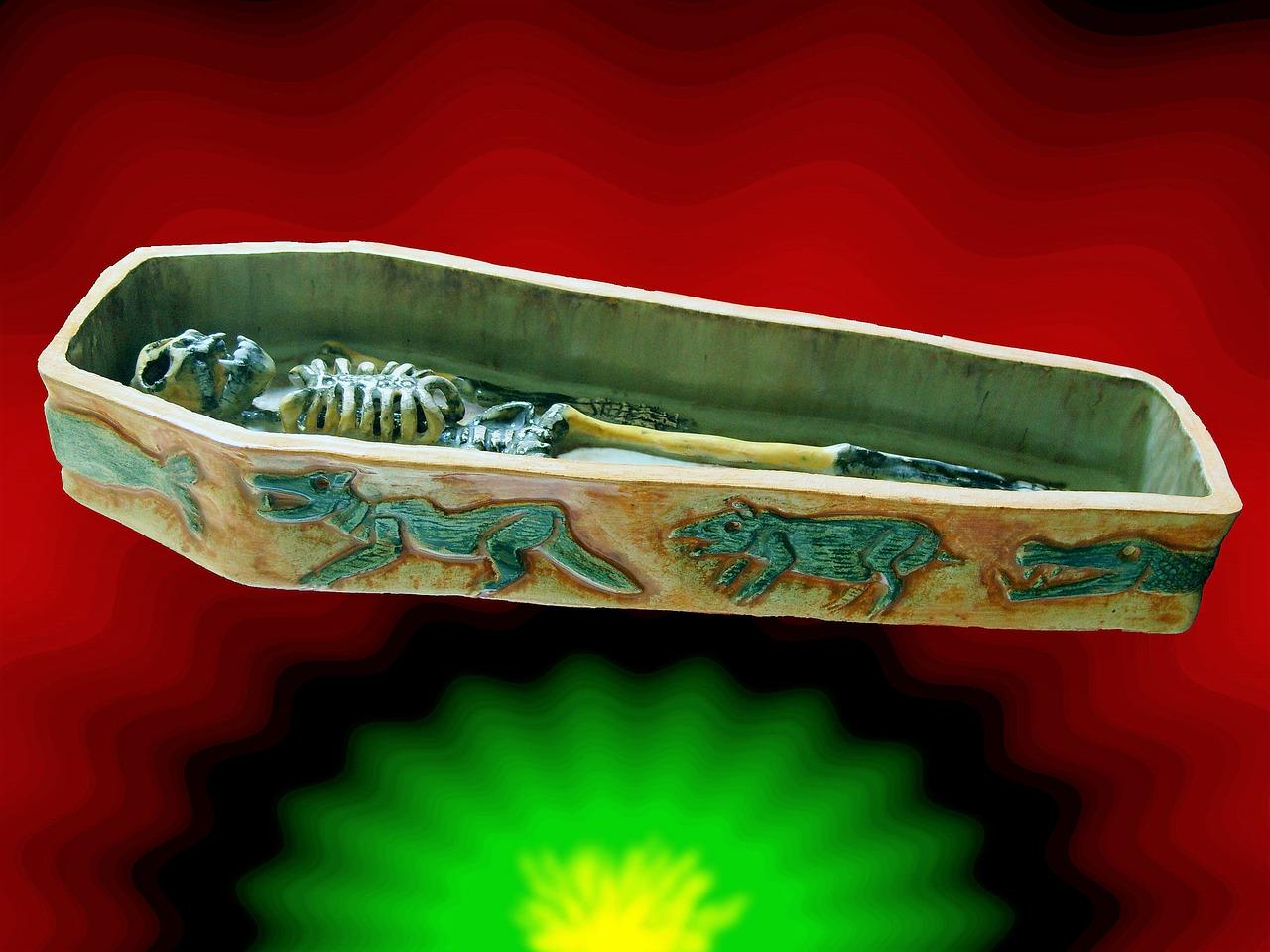 4. 棺材木材优劣