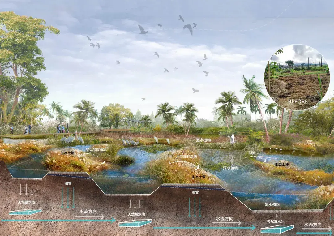 生态系统保护和修复,如何实现质的飞跃?