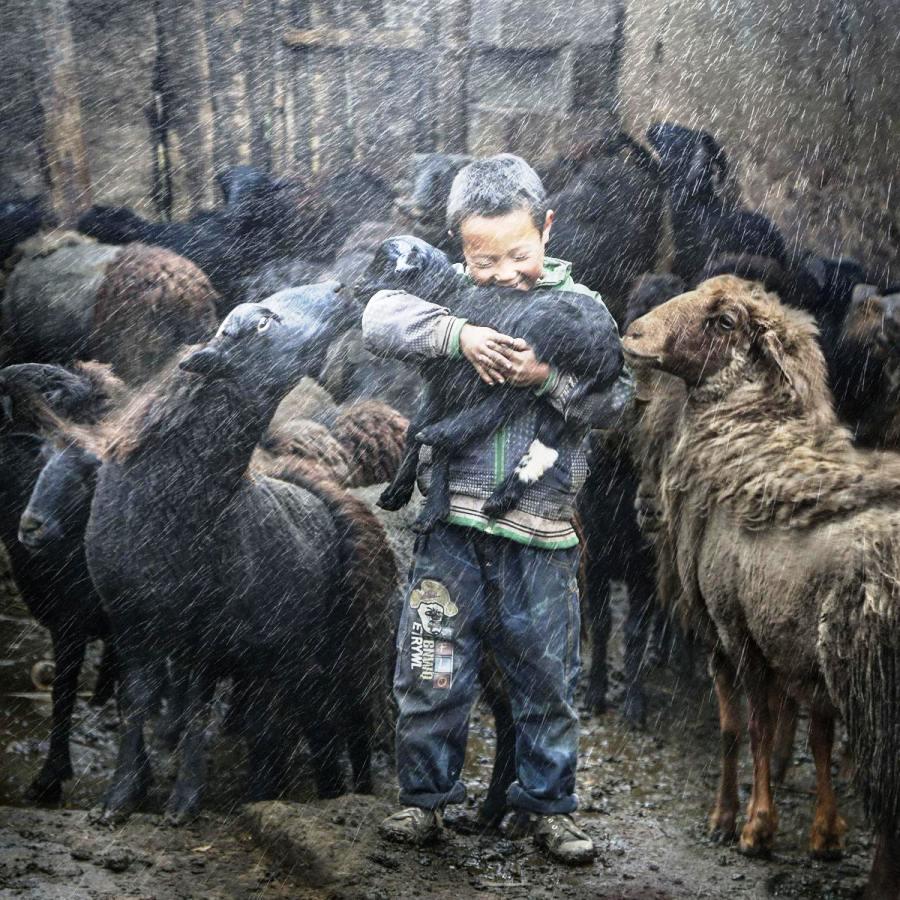 放羊娃长大了是修窑洞,娶媳妇生孩子,世世代代放羊!