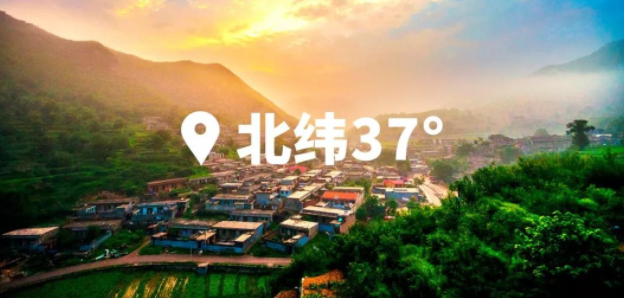 北纬37走进黄金奶源带优质奶源到底是怎么来的