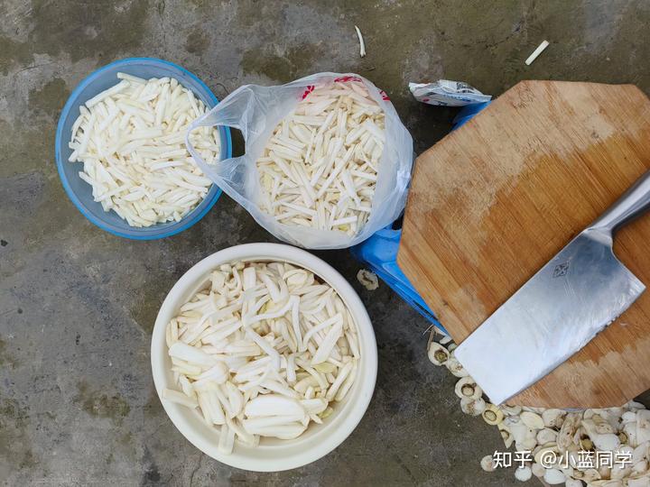人，可以废物到什么程度？