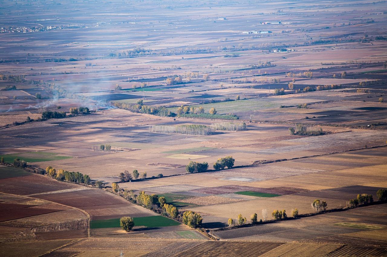 雪花飘落时，2020年的第一场雪的回忆录