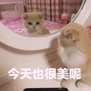 300_300gif 动态图 动图