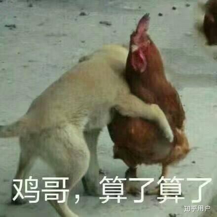 鸡哥vlog v2-037b4ac6e5b44b0a4485be39053a689c_r.jpg