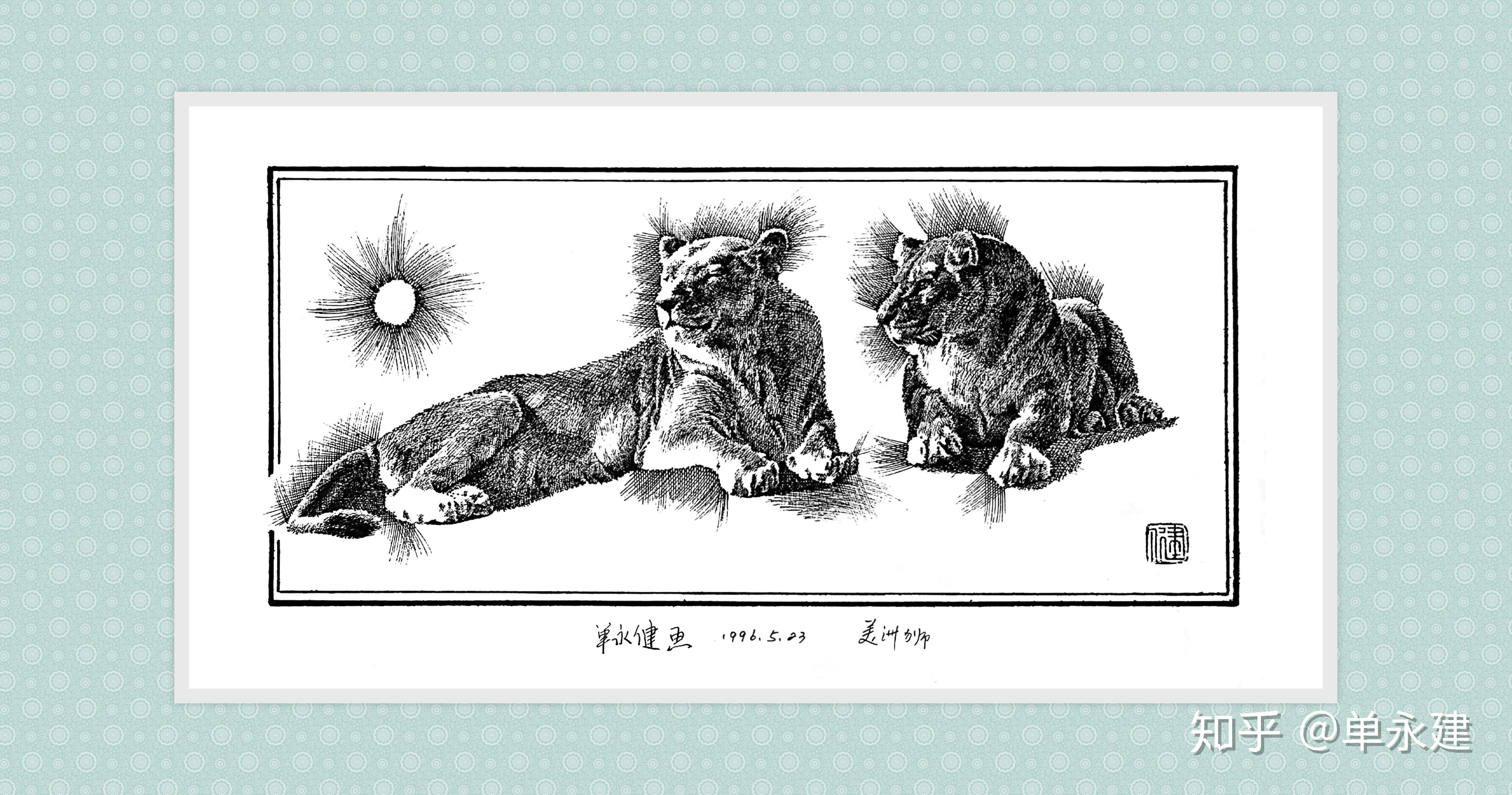 单永建画作1996年钢笔画美洲狮