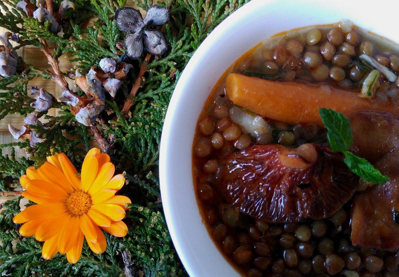 2. 适合扁豆的肥料