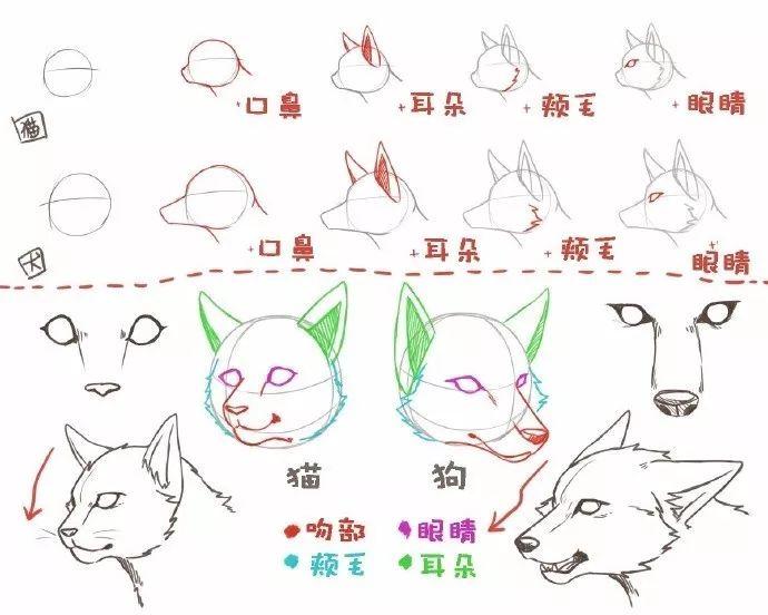v2-038c82174a2ce9fd65fd9adaf793a548_1440w.jpg?source=172ae18b