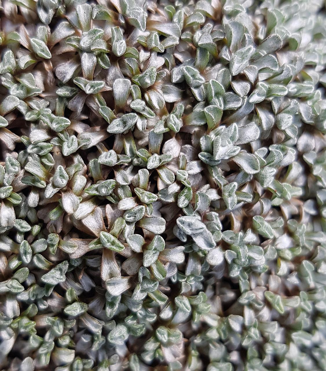 地毯最宽多少米