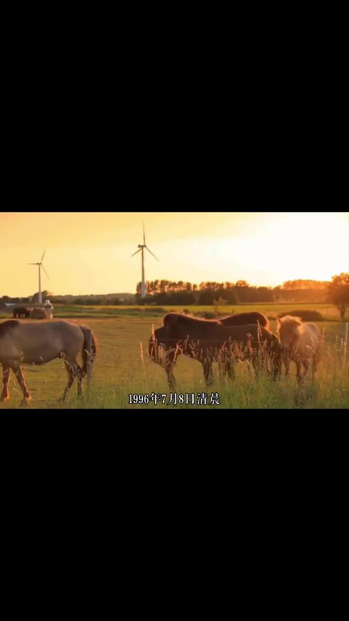 墨西哥ufo屠牛事件