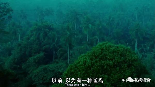 王家卫,张国荣,阿飞正传及其他