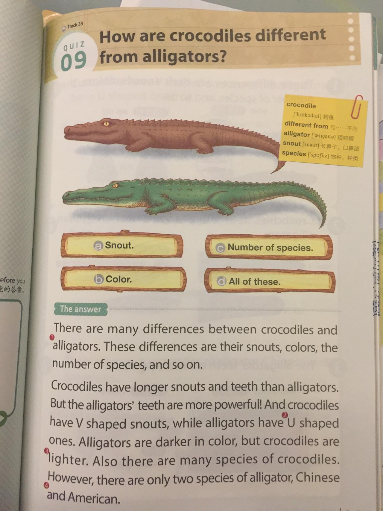 crocodile区别图片