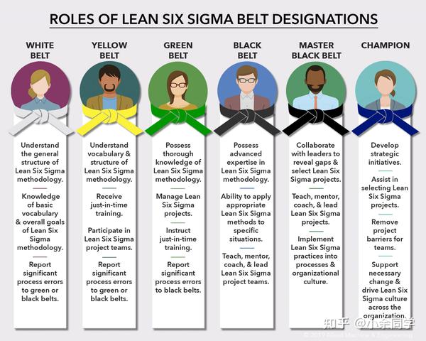 Section 1 Lean Six Sigma White Yellow Belt Course Introduction 
