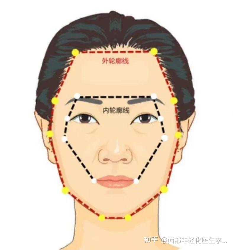 面部轮廓是什么