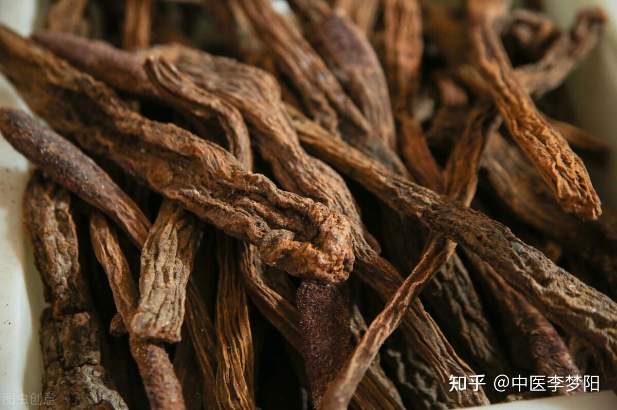 一味有多重功效的中药锁阳,把阳气锁入体内,阳虚的人一定要知道