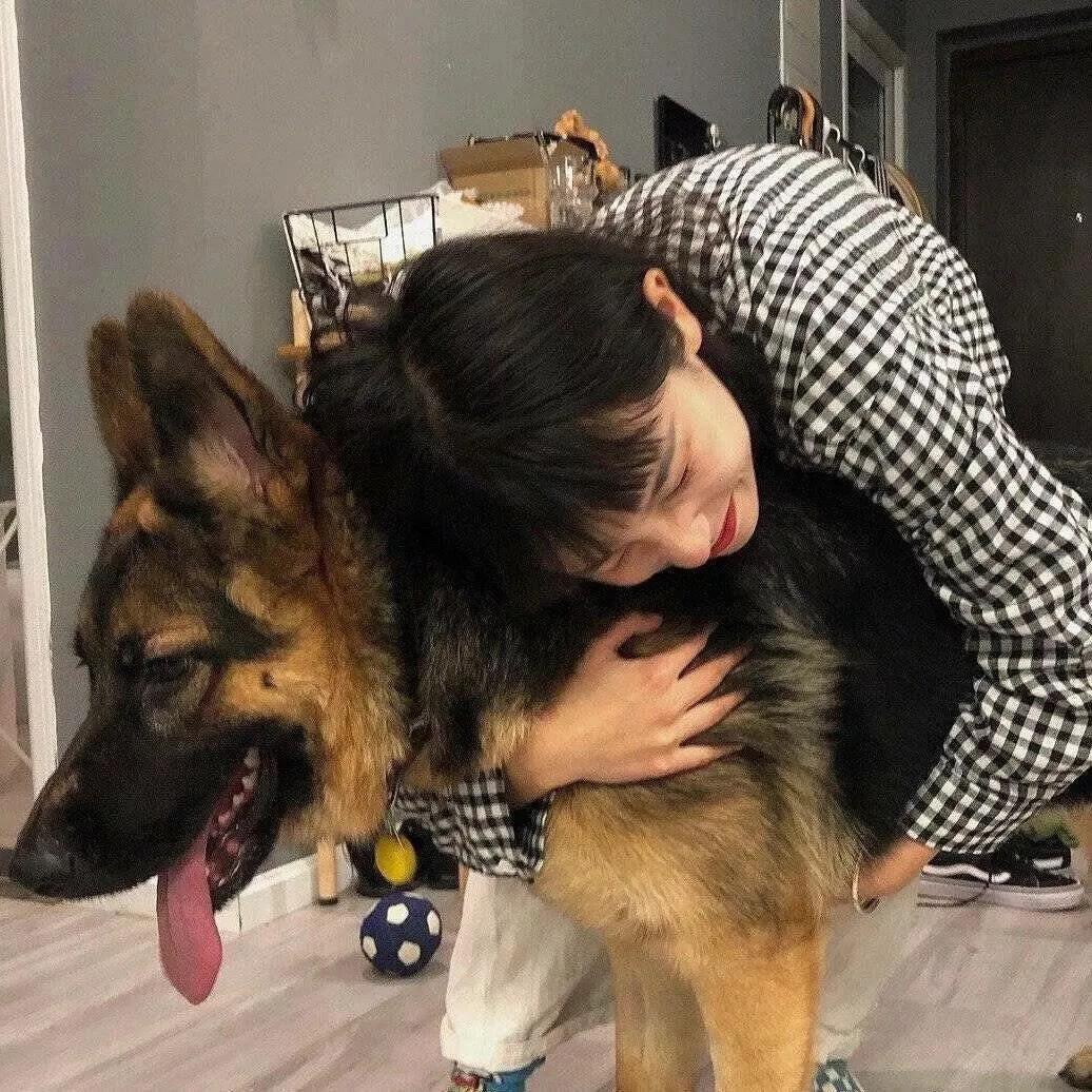 有没有女孩子抱着狗狗的头像,越多越好?