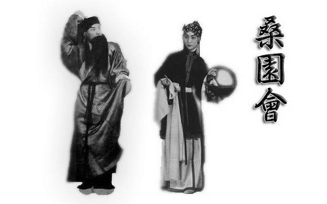 《桑园会》之不能我一个人扎心